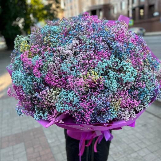 Гипсофила радужная