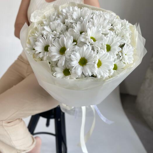 Твои любимые ромашки