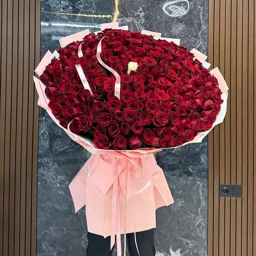 201  метровая роза