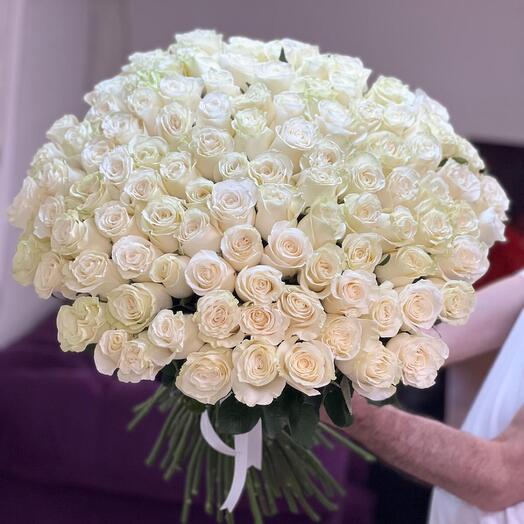 101 БЕЛАЯ РОЗА