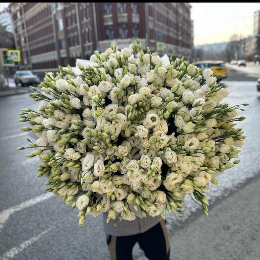 201 White lisianthus