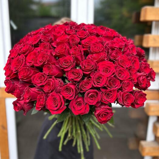 Красные розы 101 шт Премиум 🌹