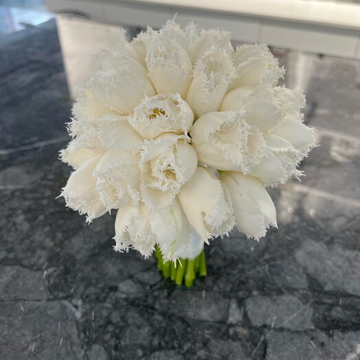 Bridal Frill tulip