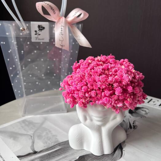 Arreglo Mini en maceta de yeso con gypsophila estabilizado regalo para niña / mamá / novia / hermana