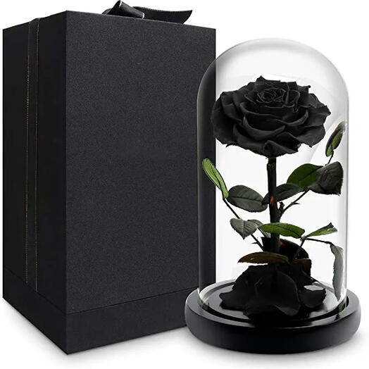 Glass Dome Vase With Single rose Black