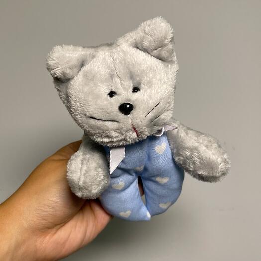 Серый котик