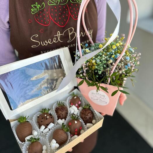 Gypsophila and strawberry combo set (Gypsophila raduzhnaya)