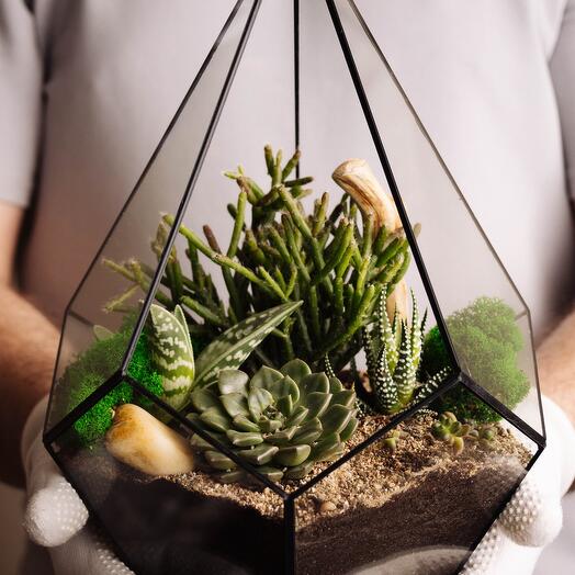 Флорариум день рождения