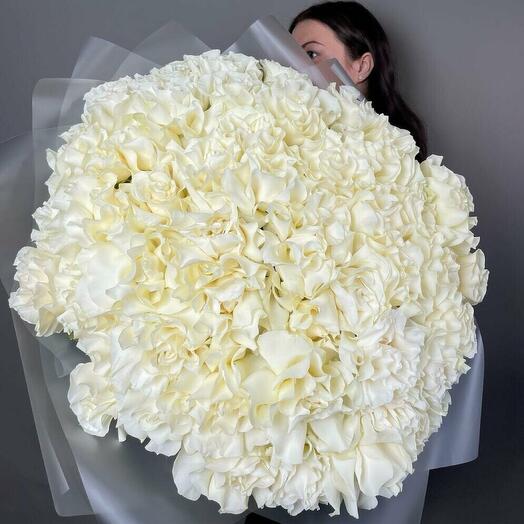 51 White WOW🤍 PREMIUM