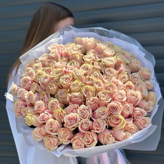 101 розовая роза в фирменной упаковке