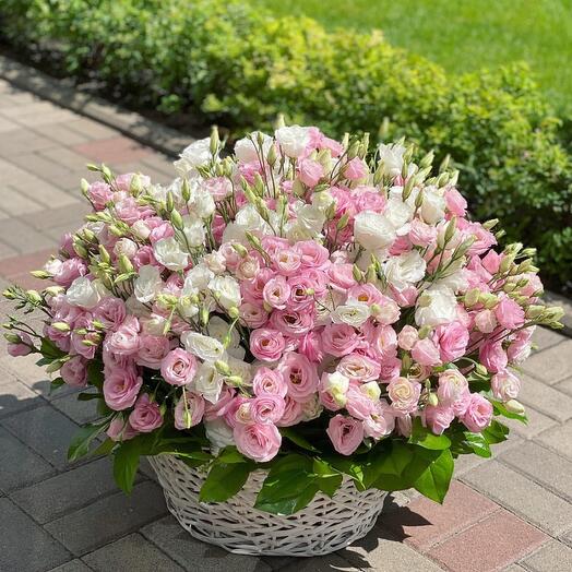 White and Pink in basket