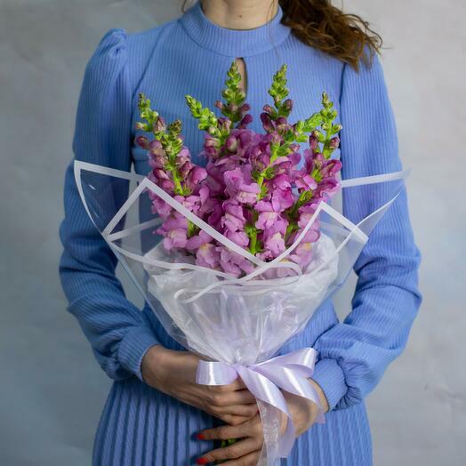 Antirrhinum Bouquet