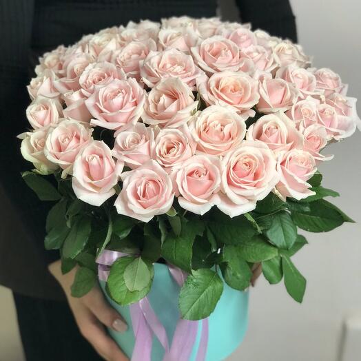 51 нежно-розовая роза в боксе