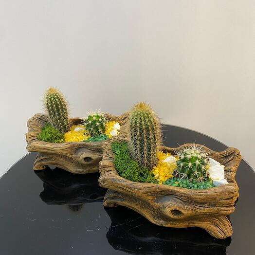 Флорариум Солнечный