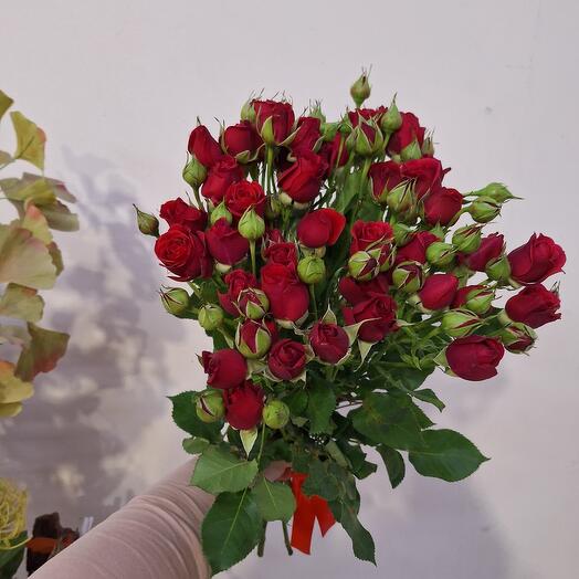 Букет из 11 кустовых роз