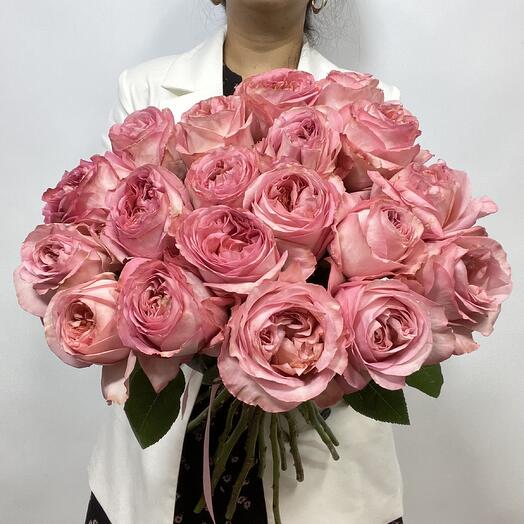 Pink roses