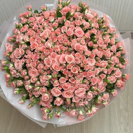 Кустовые розы