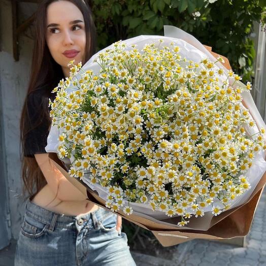 51 полевая ромашка в крафте