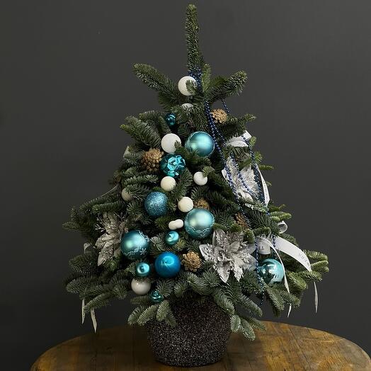 Ёлка «Морозная стужа» Нобилис