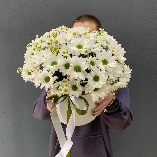 Коробка с ромашками