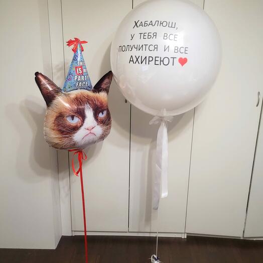 Стеклянный шар с любой надписью и чудесный недовольный кот. Злой кот и шар гигант двойной стеклянный с надписью