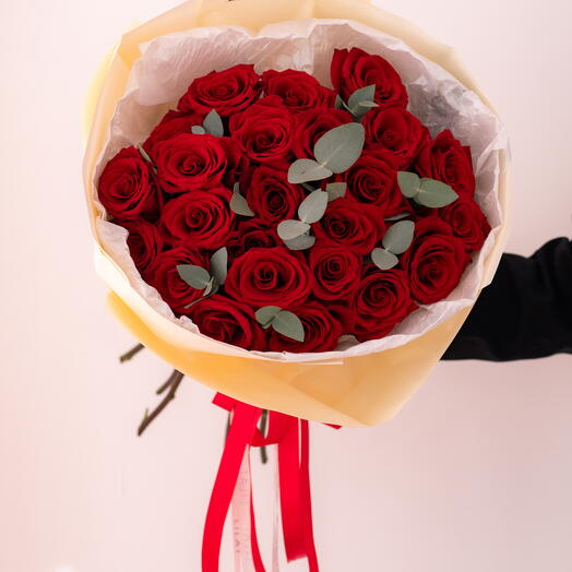 25 Explorer Red Rose