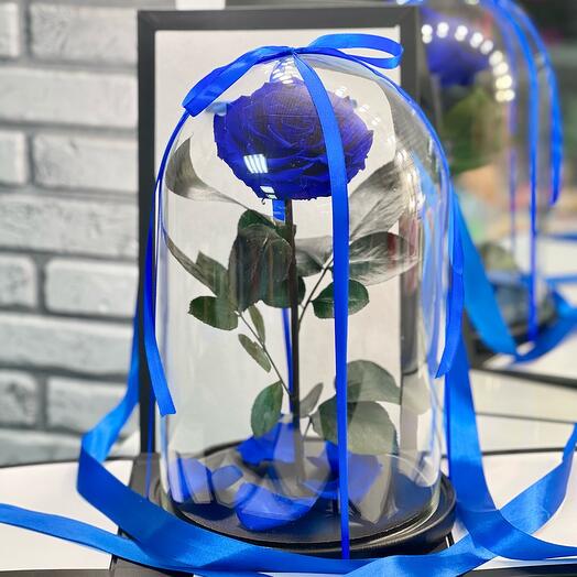 Rosa azul en frasco de Lujo en Caja de regalo con efecto wow / 32 cm