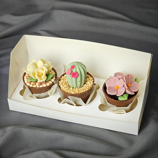 Пирожные цветы в горшках (box3)