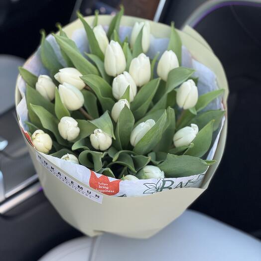 21 white tulip