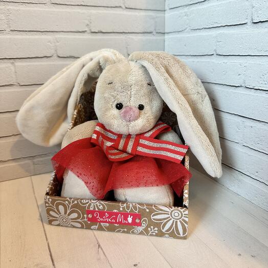 Bunny, March 8th