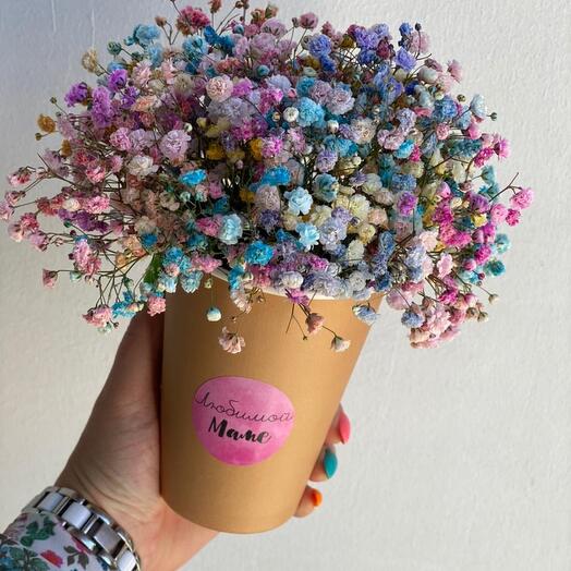 Радужная гипсофила в стакане