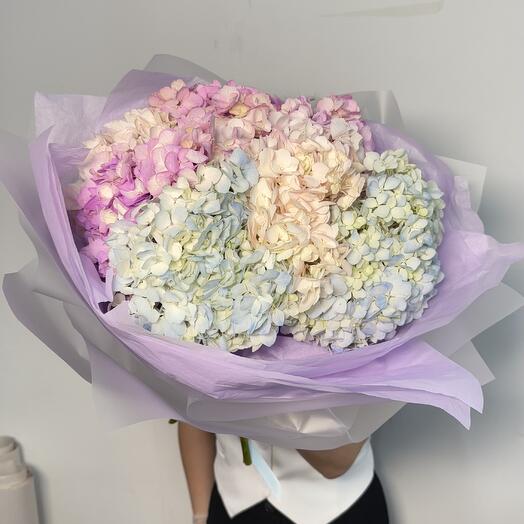 Hortensias multicolor 7 piezas