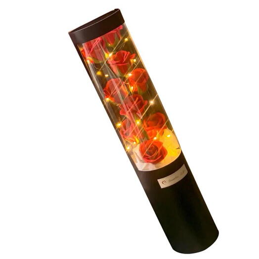 🌹 Red Rose Shell Box – 9 Roses with LED Lights 💡🎁