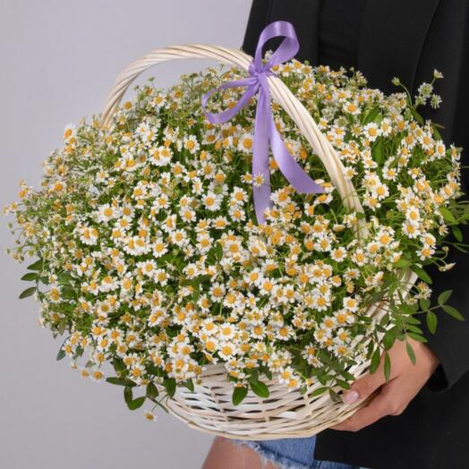 Корзина ромашки 🌼