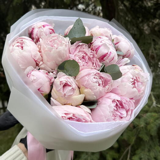 Peony Lover Premium