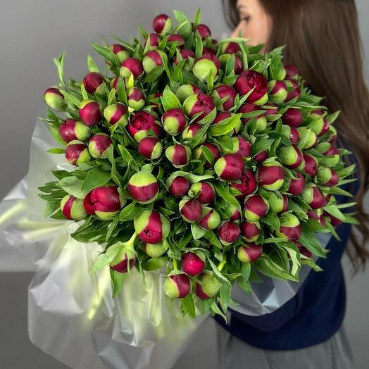 Пионы XL 101 шт