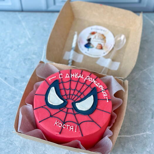 Spiderman Chocolate Bento Cake