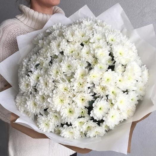 15 белых хризантем
