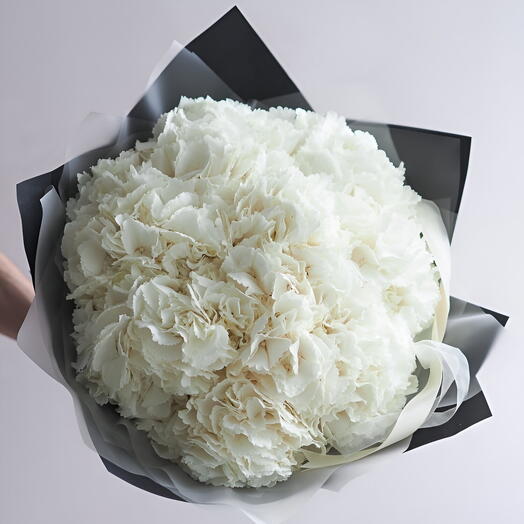 White Hydrangea