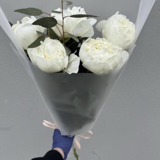 Snow peonies
