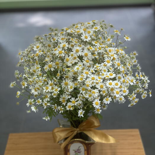 Bouquet of tanacetum
