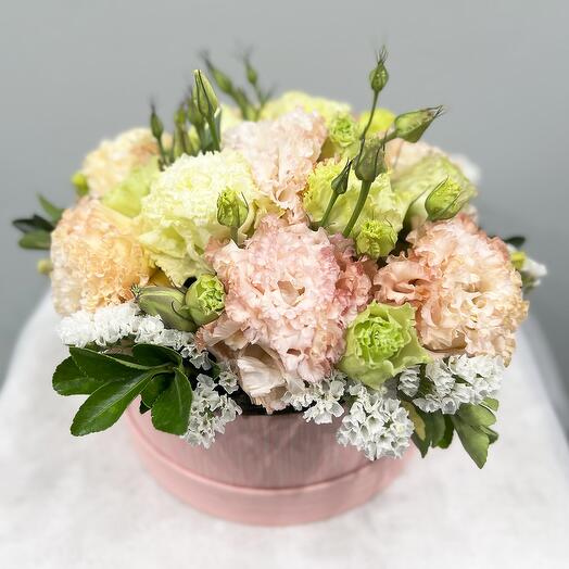 Composition with eustoma
