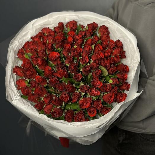 101 красная кенийская Роза