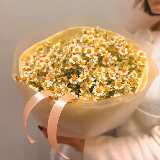Ромашки💫