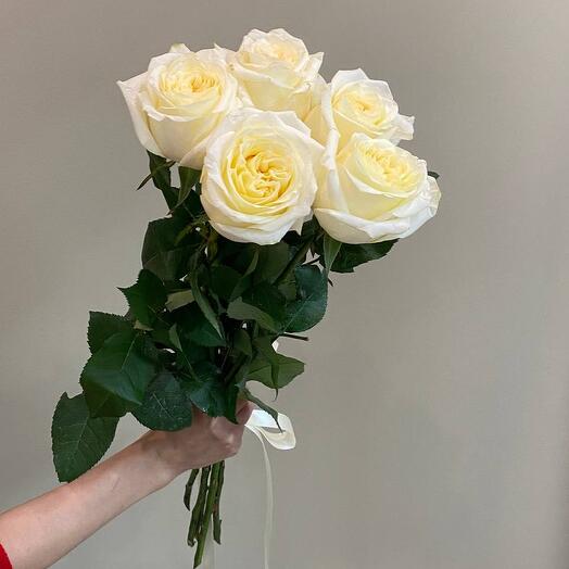 Роза пионоаидная Канделайт 5 шт на ленте