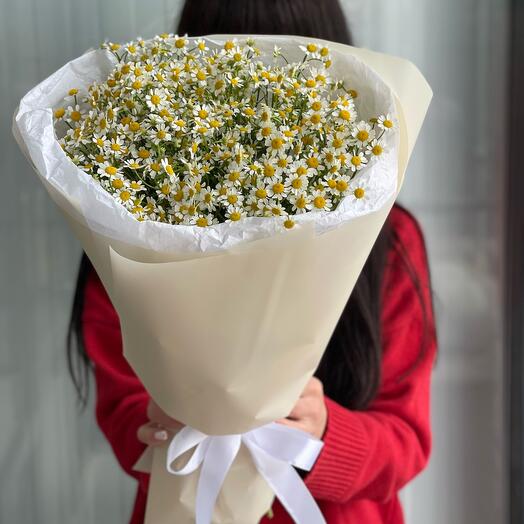 Букет милых ромашек