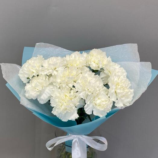 11 белых диантусов в упаковке
