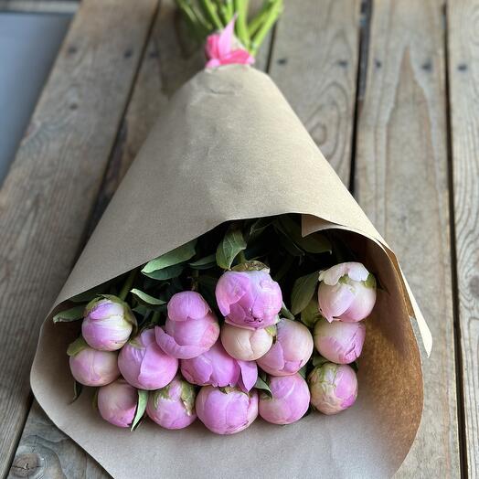 Пионы розовые 15 штук 🌸