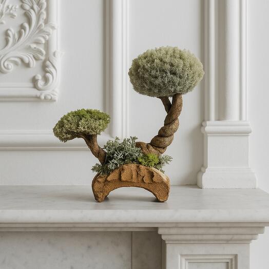Bonsai interior con coronas de cetraria. Flores secas vivas