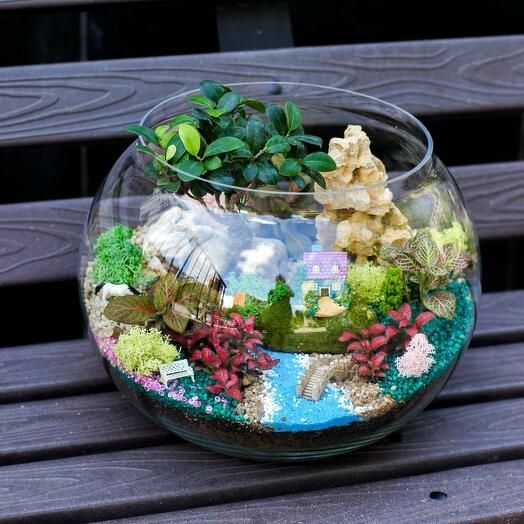 Флорариум с живыми растениями "Уютный уголок"